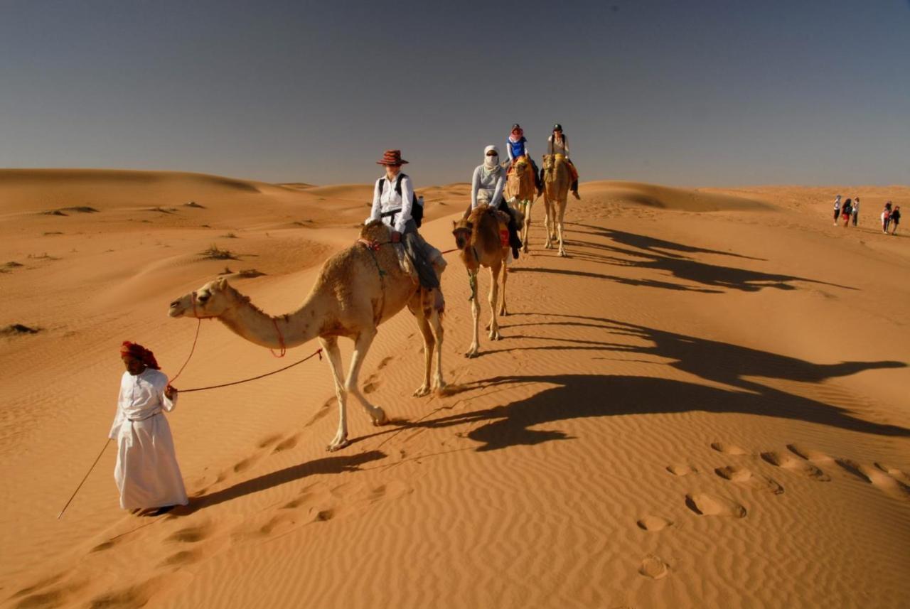 Campsite Delight Desert Camp Al Wasil